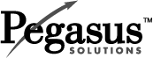 (PEGASUS SOLUTIONS LOGO)